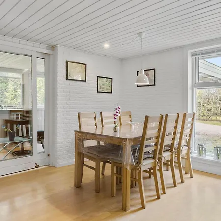 Sivvaenget Skjern Ix